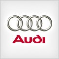 AUDI logo ecu
