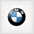 BMW logo ecu