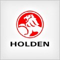 HOLDEN logo ecu