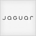 JAGUAR logo ecu