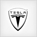 TESLA logo ecu